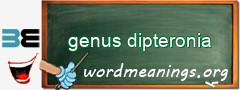 WordMeaning blackboard for genus dipteronia